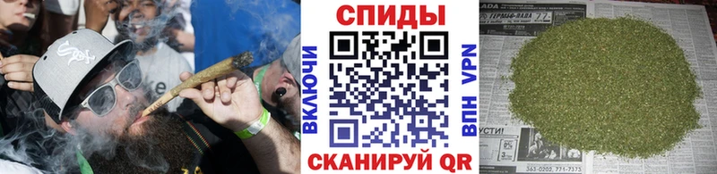 закладки  Каневская  Бутират BDO 