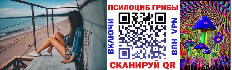 закладки  Каневская  Галлюциногенные грибы Psilocybine cubensis 